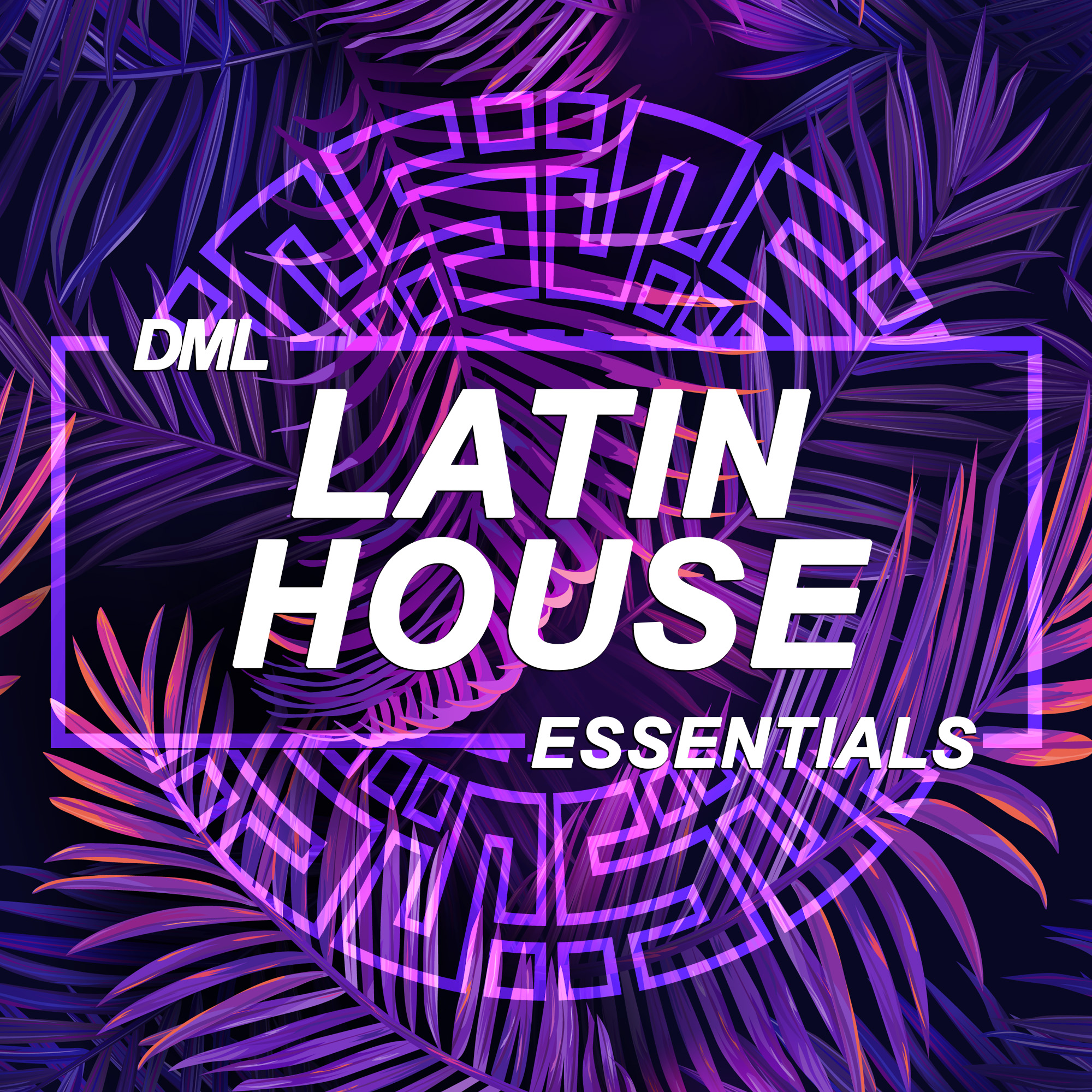 Latin House Music